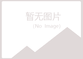 白银平川骤变能源有限公司